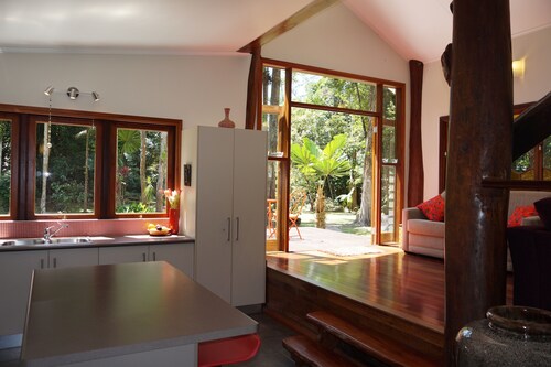 Secluded home hidden in an ancient, enchanted forest with beautiful creek 