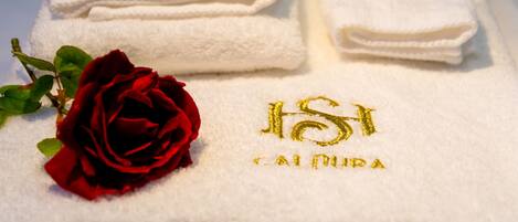 Hair dryer, towels, soap, shampoo