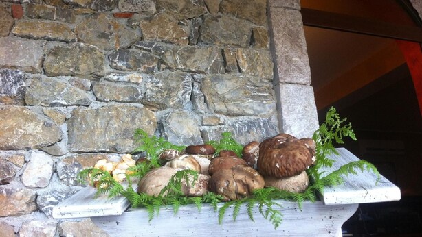 A stone wall with a rustic wooden shelf displaying mushrooms and ferns.