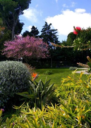 Property grounds - Apart renovated with direct access garden pool tennis 300m beach, L'Escala (L'Escala)