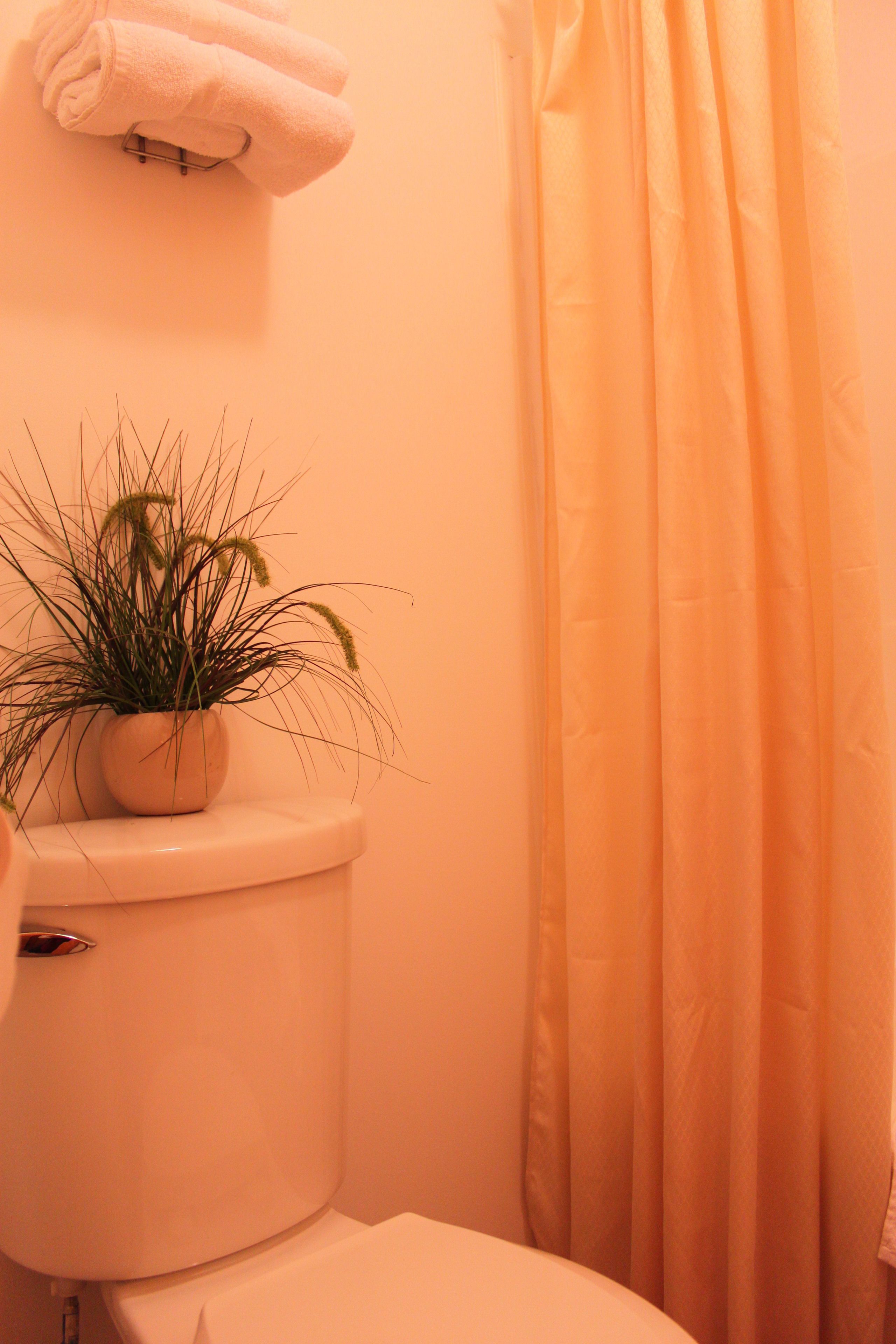 A bathroom with a toilet, a potted plant, a towel rack, and a shower curtain.