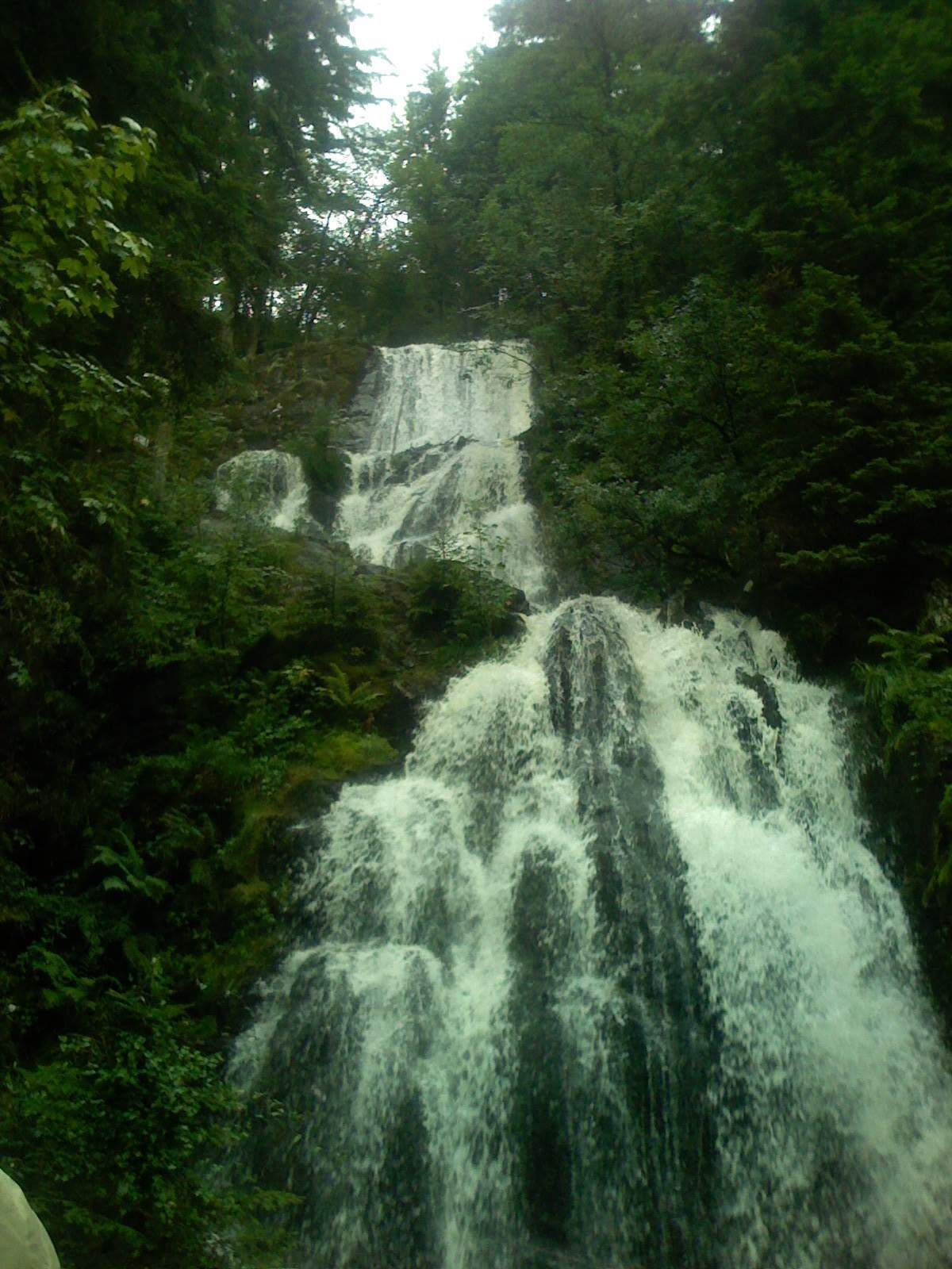 Una cascada rodeada de follaje verde y frondoso.