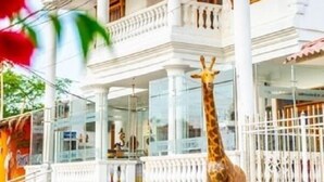 A two-story building with a white facade, a balcony with a railing, and a giraffe statue in the foreground. - Hotel Boutique Campanario del Río (Soledad)