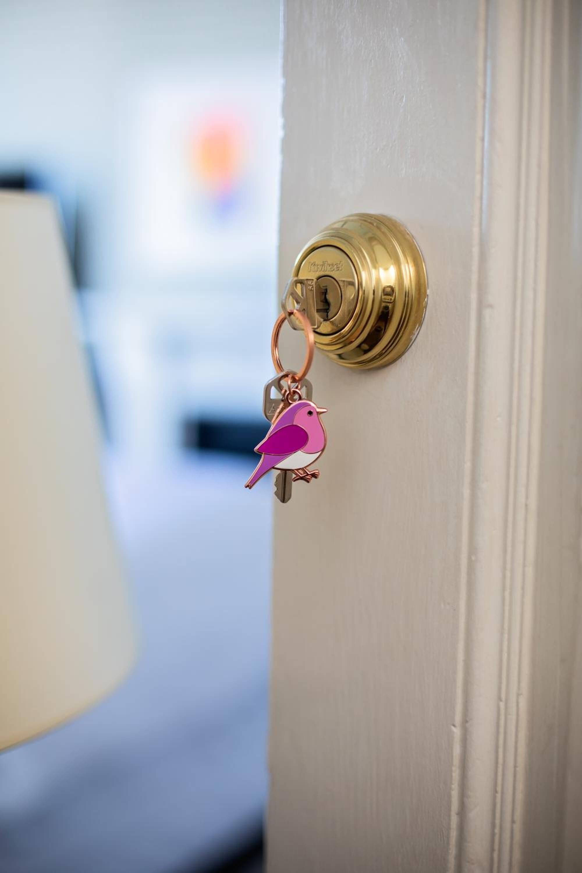 A door with a brass lock and a keychain with a pink bird.