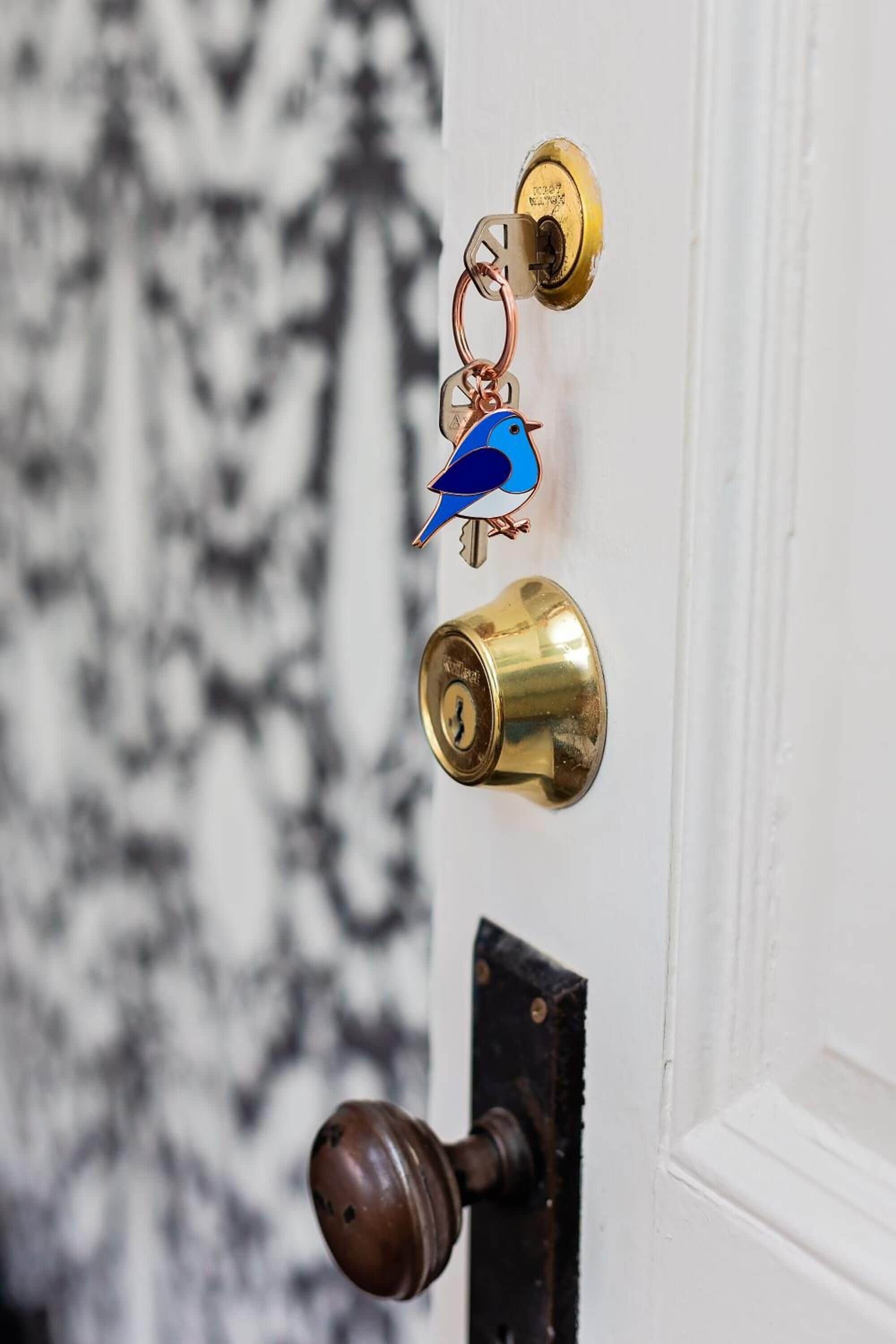 Una porta amb una sivella de bronze, una clau i l'obertura per a la clau.