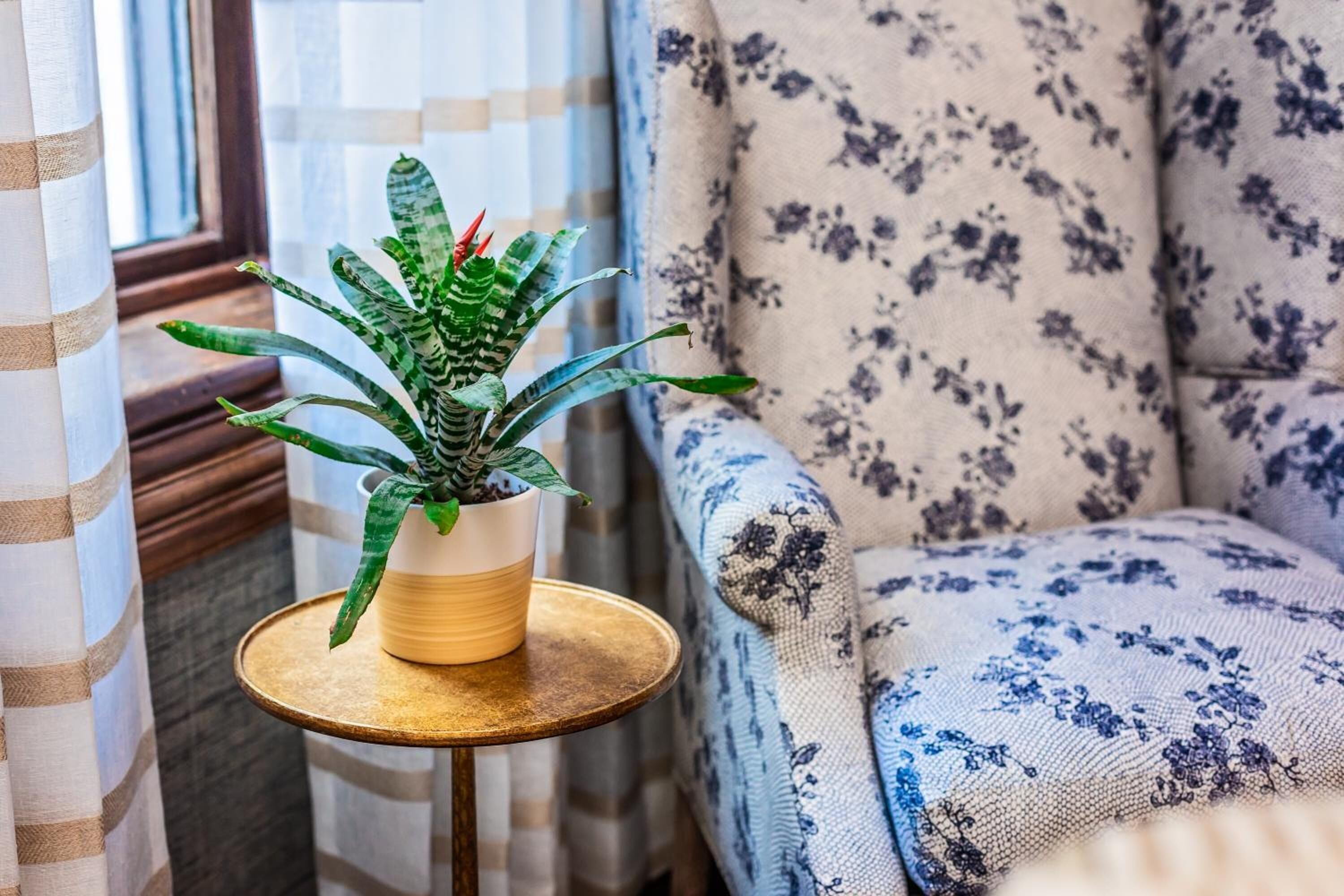 Una planta en maceta sobre una mesa redonda pequeña junto a un sofá estampado con motivos florales.