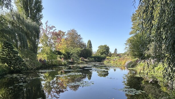 Un étang paisible, entouré d’une végétation luxuriante et d’arbres.