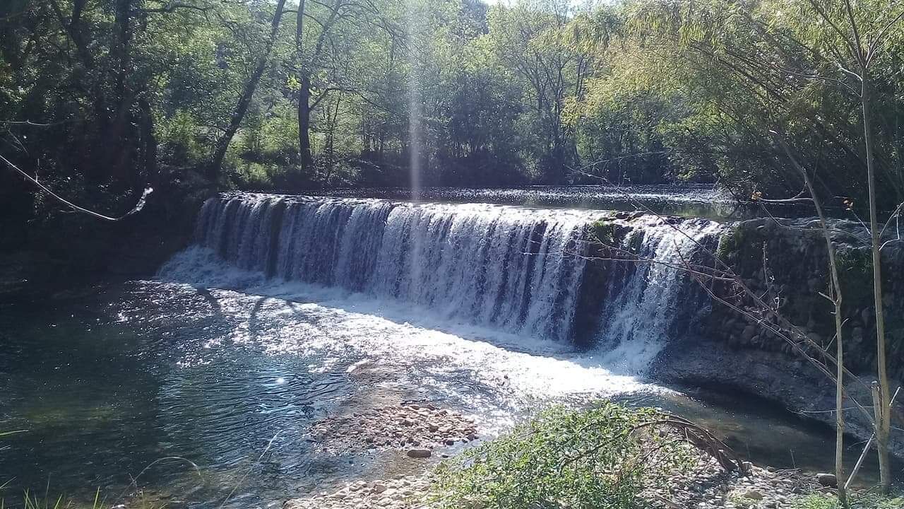 Une cascade située dans une zone boisée.