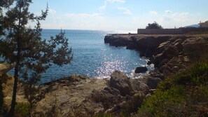Playa en los alrededores 