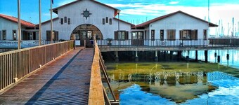 OasisTrain 001 with POOL