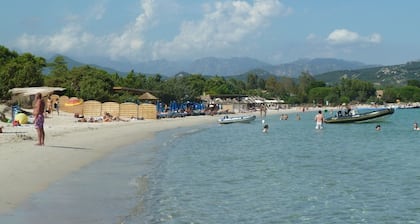 T2 apartment - BIG STANDING - air conditioning - swimming pool - terrace - beach at 800m 3 Pers