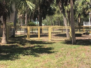 Explore the serene outdoor area surrounded by lush trees and a paved path leading to the animal viewing enclosure.
