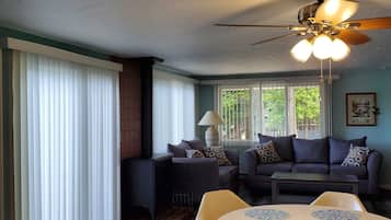 Una Smart TV, una chimenea, libros