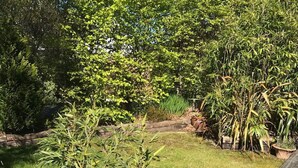 Une zone herbeuse délimitée par une clôture en bois, entourée de différents arbres et arbustes.