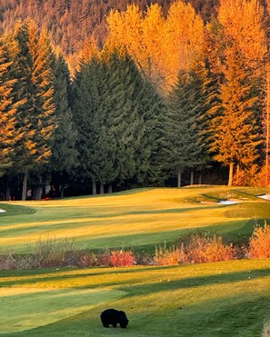 Golf - Whistler Blackcomb Escape | Private Hot Tub & Cozy Mountain Views (Whistler)