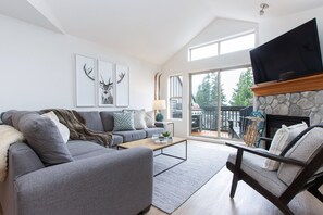 Smart TV, fireplace, video library, computer monitors