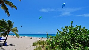 Una playa con palmeras, una orilla arenosa y un cielo azul despejado.