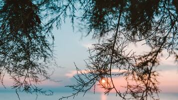 Playa en los alrededores