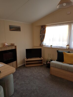 TV, DVD player, books