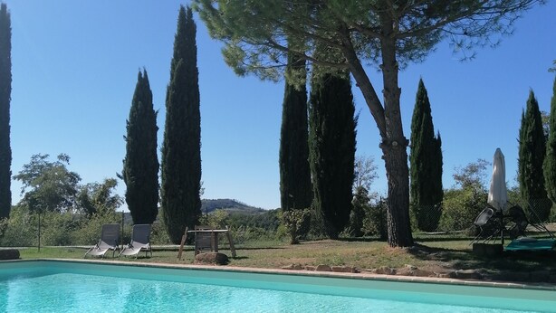 Piscina amb un marc de maó, envoltada d'altes cigarreres i un cel blau clar.