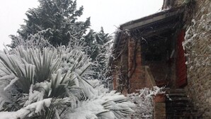 Un jardí cobert de neu amb un edifici de maó i un camí.