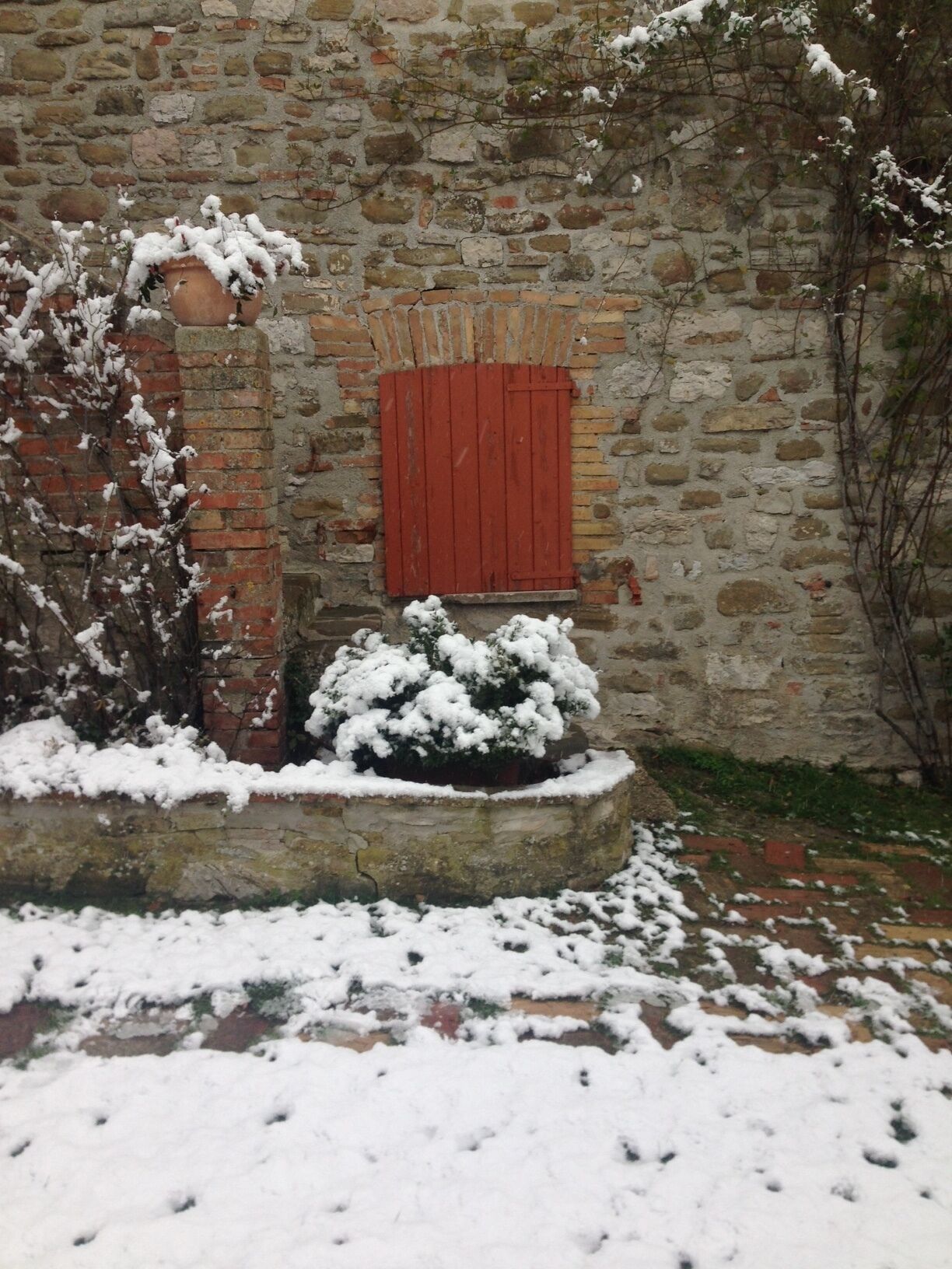 Edifici de pedra amb una persiana vermella, plantes cobertes de neu i un camí de maó.