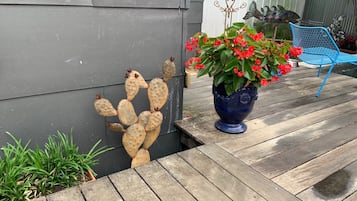 Terras