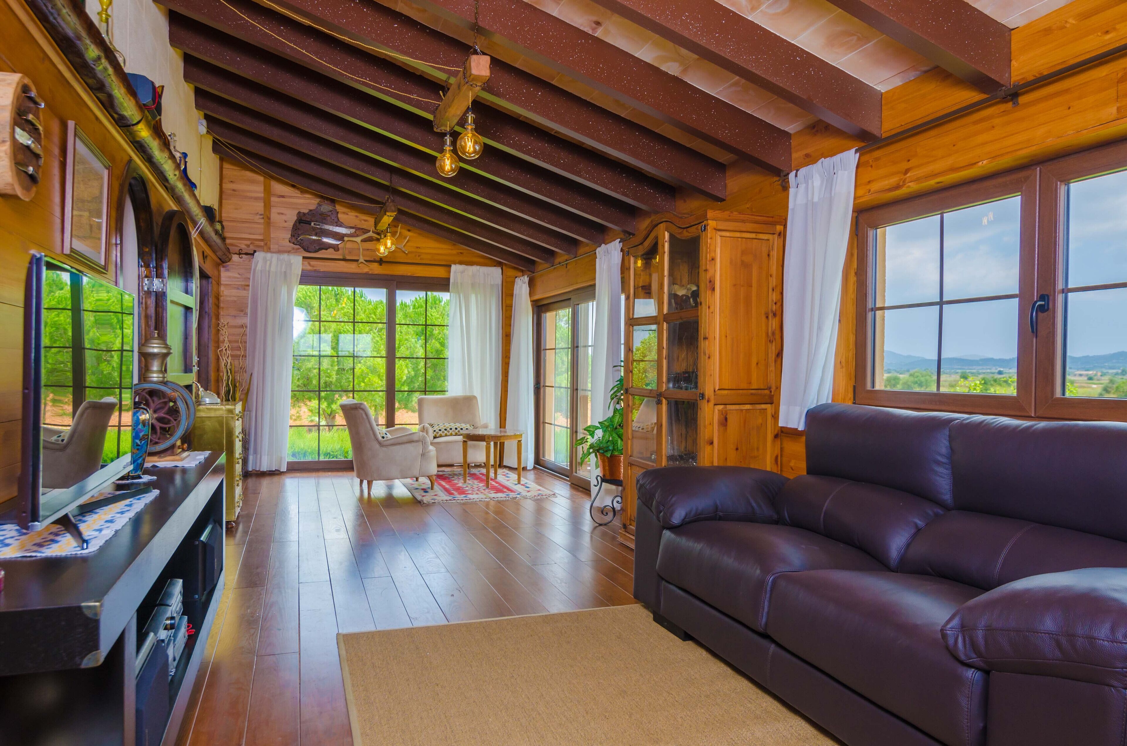 TV, DVD player, table tennis