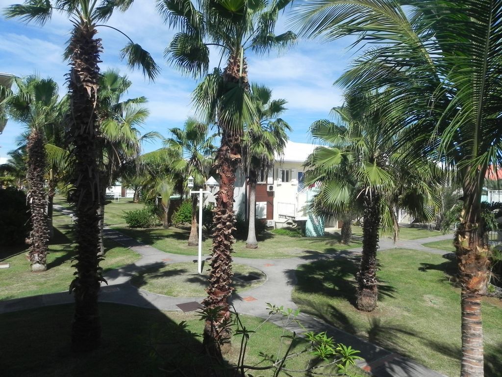 A courtyard with palm trees, a pathway, and a building in the background.