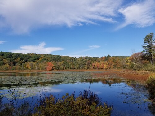 A Charming  800 sqft brand new two bedroom apartment