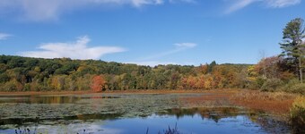 Charming upouusi kahden makuuhuoneen huoneisto
