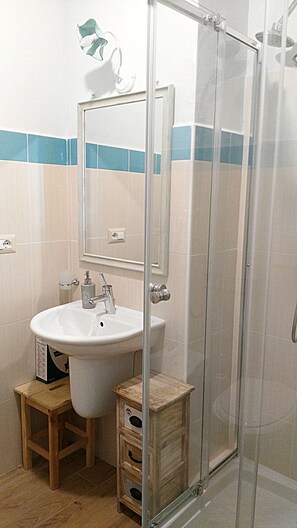 Shower, hair dryer, bidet, towels