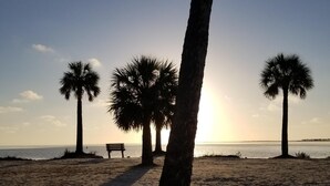 Una playa con palmeras y un banco.
