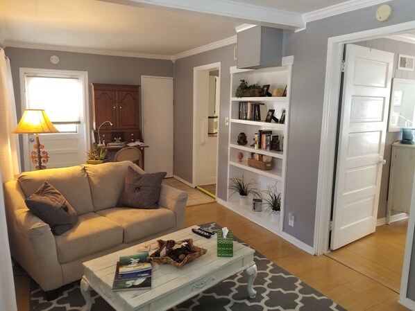 Smart TV, DVD player, books, video library