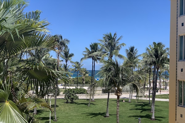 the view