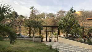 Vườn