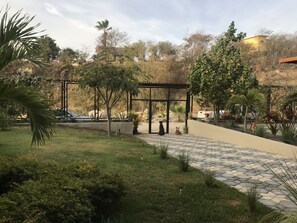 Garden - AR Luxury Suites (San José del Cabo)