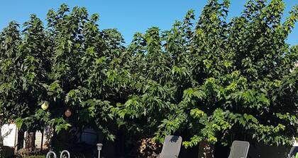 Villa au calme au pied des montagnes