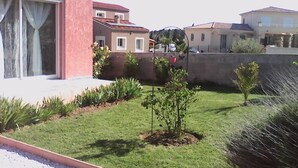 Ein Wohngebiet mit einem roten Gebäude, einem kleinen Garten mit verschiedenen Pflanzen und einem weißen Auto in der Nähe.