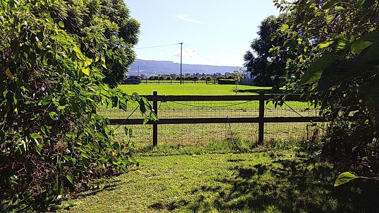 view towards the river