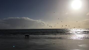 Platja a a prop
