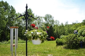Ulkoalueet