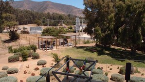 Une vue d’un parc avec des aires de pique-nique, une montagne en arrière-plan et un bâtiment entouré d’échafaudages.