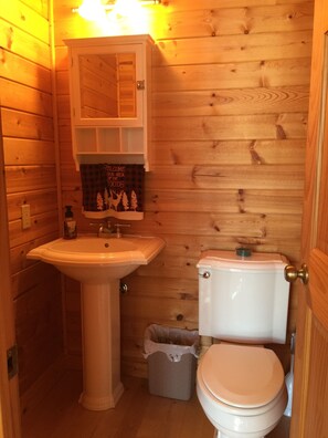 Une petite salle de bain aux dimensions réduites, avec des murs en bois, un lavabo blanc et des toilettes.