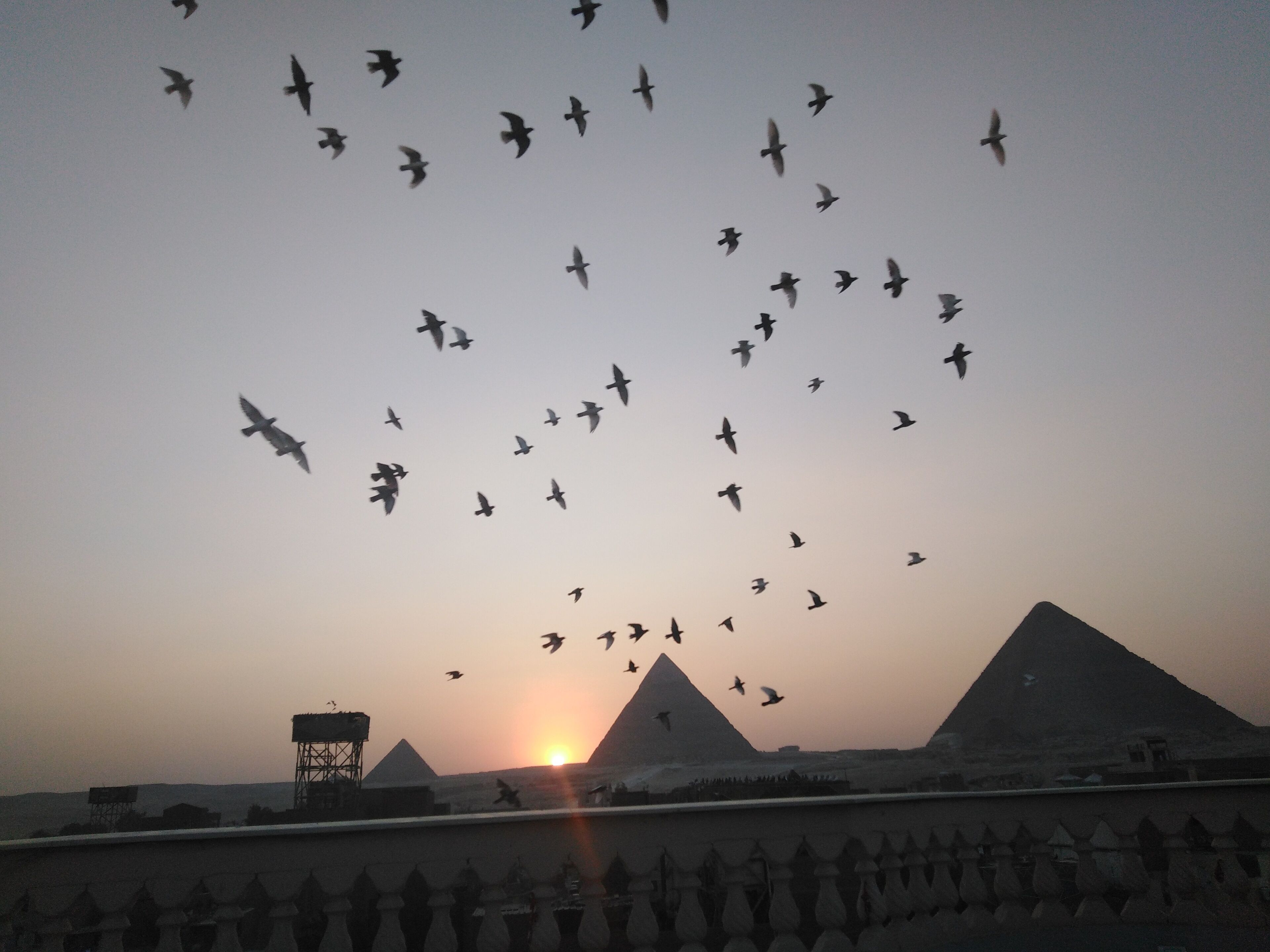 Foto - Queen pyramids View