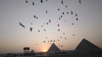 Silueta de las pirámides al atardecer, con aves volando en el cielo.