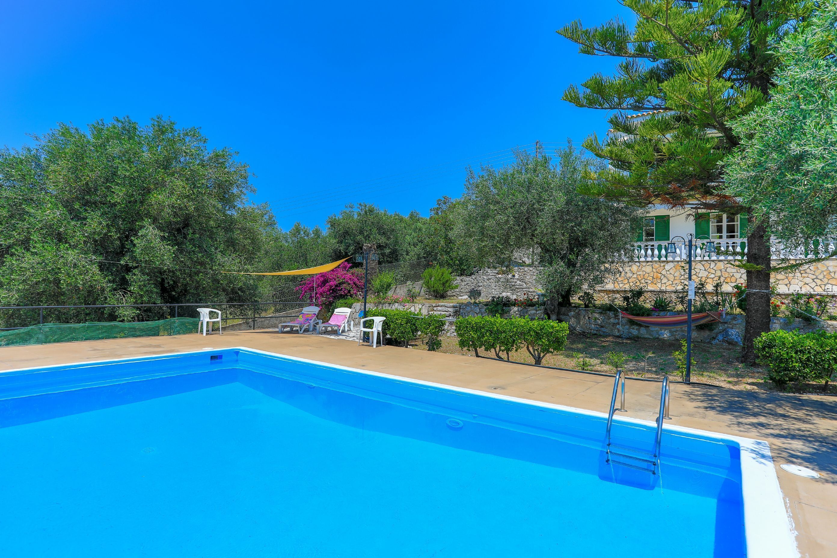 A clear blue swimming pool with a ladder, surrounded by greenery and a stone wall.