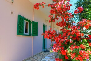 Exterior detail - Fran Apartment: Cozzy apartment with a shared pool, breakfast options and close to the beach (Saint Spyridon)