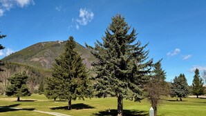 Un área cubierta de césped con varios árboles de coníferas y una montaña al fondo.