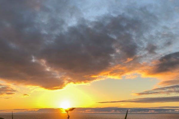 Steps from our lanai to this incredible sunset view!